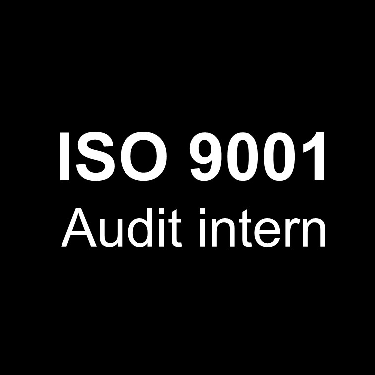 ISO 9001 FAQ Auditoría Interna