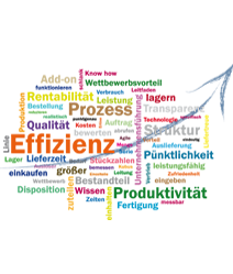 SAP Optimierung Business Tuning