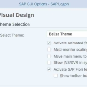 SAP GUI Themes