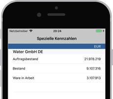 SAP iPhone individuelle SAP Apple App für Ihr Business