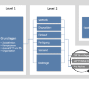 Prozessoptimierung für SAP - SMART Prozess